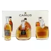 Conhaque Camus Collection Elegance (kit Com 3 Unidades x 50ML)