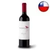 Vinho Magnifico Cabernet Sauvignon 750ML