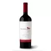 Vinho Magnifico Icono Cabernet Sauvignon 750ML