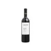 Vinho Salton Paradoxo Merlot 750ML