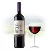 Vinho Santa Carolina Estrellas Reserva Merlot 750ML