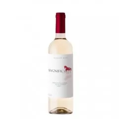 Vinho Magnifico Sauvignon Blanc 750ML