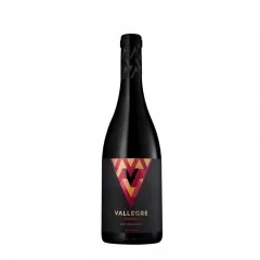 Vinho Tinto Vallegre Reserva 750ML