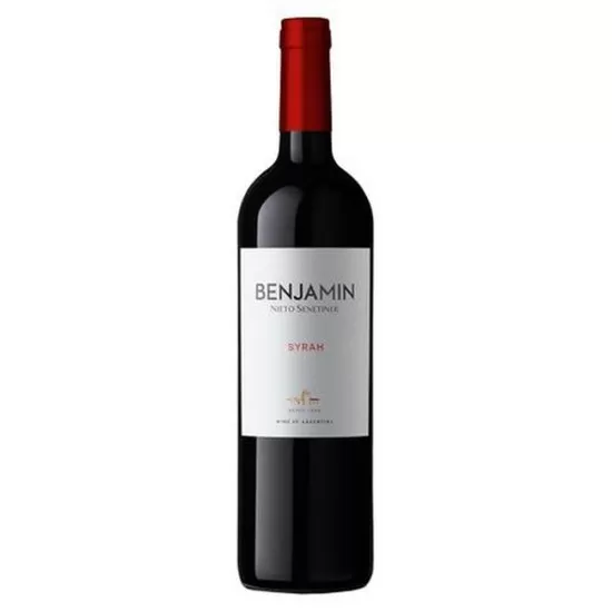 Vinho Benjamin Nieto Syrah 750ML