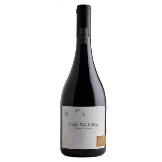 Vinho Casa Valduga Terroir Exclusivo Syrah Viognier 750ML