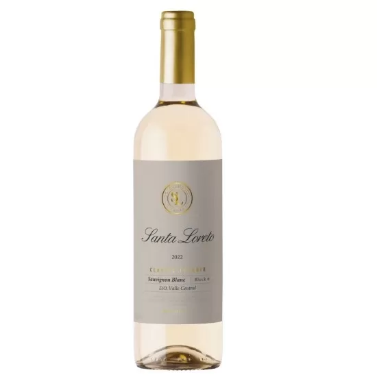 Vinho Santa Loreto Classic Terroir Sauvignon Blanc 750ML